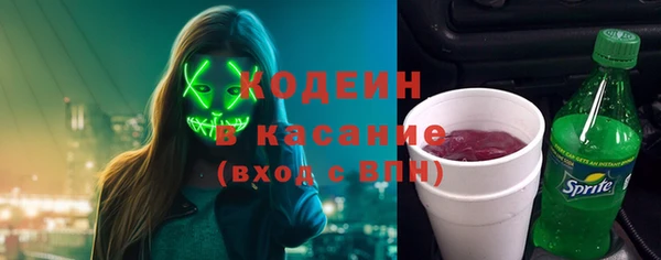 трава Корсаков