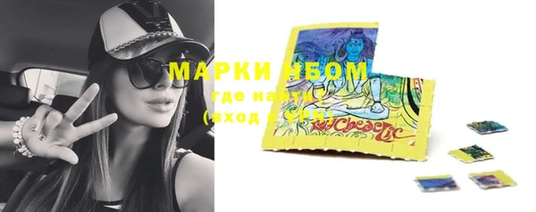 метадон Алексин
