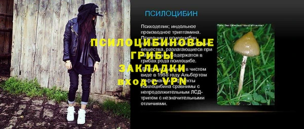 a pvp Алзамай