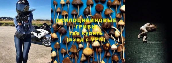 a pvp Алзамай