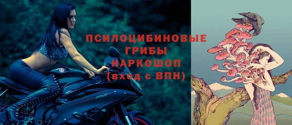 метадон Алексин
